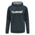 Фото #1 товара HUMMEL Go Cotton Logo Hoodie