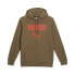 Puma Faux Embroidered Hoodie Fl Mens Brown Casual Outerwear 84578493