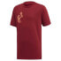 ფოტო #1 პროდუქტის ADIDAS Category Logo short sleeve T-shirt