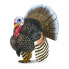 Фото #3 товара SAFARI LTD Turkey Figure