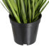Декоративное растение 45 x 40 x 74 cm Зеленый PVC