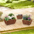 Blumenkasten Holz im 3er Set