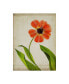 Фото #1 товара Judy Stalus Parchment Flowers V Canvas Art - 20" x 25"