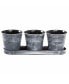 Gardener Select Round Planter w/ Tray Set Black 12.5" x 4" x 4.5"