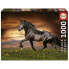 EDUCA BORRAS 1000 Pieces Horse Puzzle