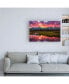 Фото #3 товара Darren White Photography Black Ponds Sunset 1 Canvas Art - 27" x 33.5"