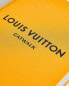 Фото #7 товара Книга с подиумами Louis Vuitton