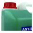 Antifreeze OCC Motorsport 20% Green (5 L)