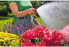 Фото #10 товара Gardena Watering Sprayer Compact Garden Sprayer