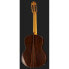 Amalio Burguet Aniversario Spruce w/ Case