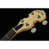 Фото #15 товара Gold Tone CC-100R 5 String Banjo