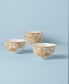 Butterfly Meadow Cottage Rice Bowl Set, Set of 4