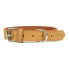 Фото #2 товара GLORIA Oasis Dog Collar