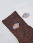 Dickies portsmouth ankle socks in brown and white