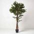 Фото #5 товара Kunstbaum Ficus Benjamini grün 180 cm