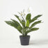 Kunstpflanze Spathiphyllum Wallisii