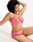 Фото #6 товара Ivory Rose Curve high apex sheer heart mesh bra in pink