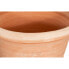 Фото #4 товара Vase TERRACOTTA TOSCANA