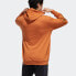 Adidas Neo M PKMN Hoodie FU3924