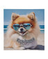 Beach Dogs Pomeranian Canvas Wall Art