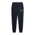 Фото #3 товара SUPERDRY Luxe Metallic Logo Slim joggers