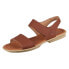 El Naturalista N5930toffee