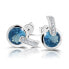 Фото #1 товара Charming silver earrings with zircons and aquamarine M21063