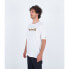 Фото #3 товара HURLEY Toledo O&O short sleeve T-shirt