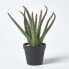 Фото #5 товара Искусственные цветы Homescapes Комнатное растение Aloe Vera 30 см