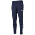 Фото #1 товара Puma teamLiga Training Pants M 657242 06