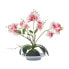 Künstliche pink-weiße Phalaenopsis