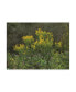 Фото #1 товара Kurt Shaffer Photographs September bouquet of yellow Canvas Art - 36.5" x 48"