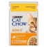 Фото #1 товара PURINA NESTLE Purina Cat Chow Adult Chicken Zucchini Jelly 85g Wet Cat Food