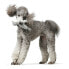 Фото #3 товара Игрушка для собак Hunter Skagen Серый Тюлень