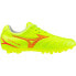 Safety Yellow / Fiery Coral 2