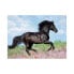 Фото #1 товара Пазл XXL с черной лошадью Ravensburger 200 деталей