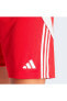 Фото #4 товара Шорты мужские Adidas Tiro 24