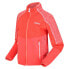 Фото #3 товара REGATTA Oberon V softshell jacket