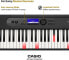 Casio LK-S450 Casiotone Top Illuminated Keyboard with 61 Velocity-Dynamic Keys in Piano Look with 600 Sounds and 200 Accompaniment Rhythms & Amazon Basics AA Alkaline Batteries