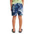 BURTON Spurway Tech Shorts