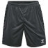 Фото #1 товара HUMMEL Authentic PL Shorts