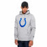 Фото #1 товара NEW ERA NFL Team Logo Indianapolis Colts hoodie