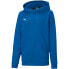 Фото #1 товара Puma teamGOAL 23 Casuals Hoody Jr 656711 02