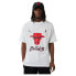 Фото #1 товара NEW ERA Chicago Bulls NBA Script Mesh short sleeve T-shirt