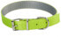 Фото #1 товара Ошейник для собак Dingo Energy Silver зеленый 2.0/50см