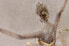 Фото #9 товара Acrylbild handgemalt Ballerina Solo