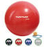 Фото #3 товара TUNTURI Gym Ball Fitball