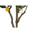 Фото #3 товара Дерево DKD Home Decor Лимонное дерево полиэстер (74 x 74 x 150 cm)
