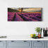 Wandbild Lavendelfeld