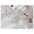 Фото #2 товара Tischset Weiße Blüten (12er-Set)